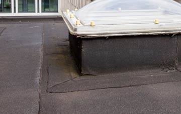 disadvantages of Trethomas flat roofs